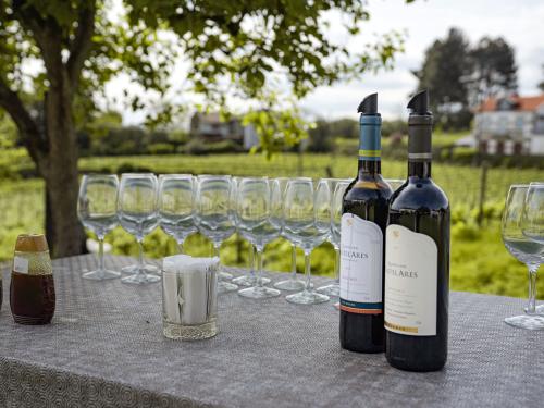 Vale do Douro: Degustação de Vinhos, Passeio de Barco e Almoço