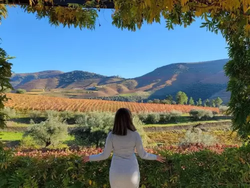 Customizable Douro Valley Tour (Up to 4 People)