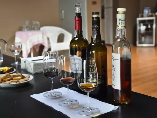 Tour Privado no Porto: Degustação de Vinhos do Porto e Queijos